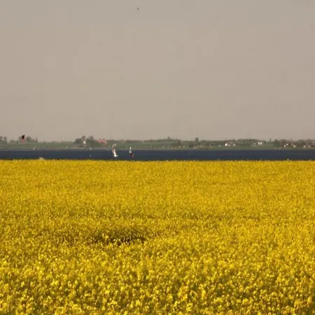 Spacious Home, Дом отдыха Циров